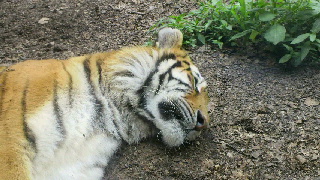 2013080310560000.jpg