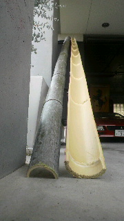 2013081100500000.jpg