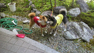 2013081204230002.jpg