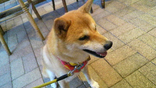 2013081818330002.jpg