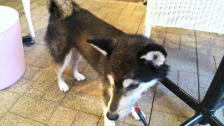 2013081818330003.jpg