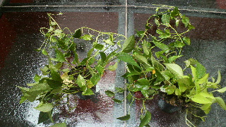 2013082512390000.jpg