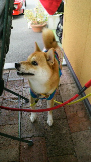 2013100609240001.jpg
