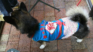 2013100609240002.jpg