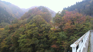 2013110407190002.jpg