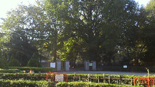 2013110906430001.jpg