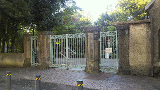 2013110906430002.jpg