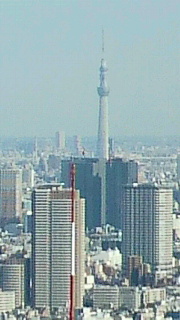 2013110907180002.jpg