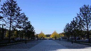 2013111619550000.jpg