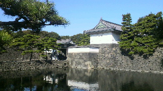 2013111619550001.jpg