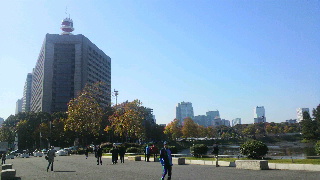 2013111620550000.jpg