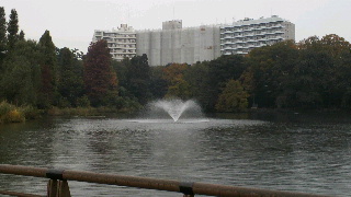2013111622440000.jpg