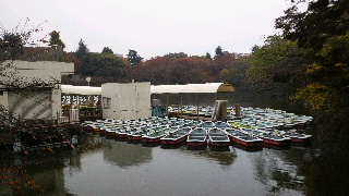 2013111622540001.jpg