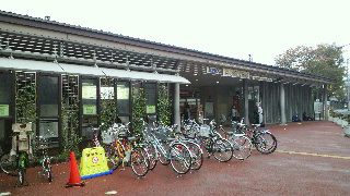 2013111623130002.jpg