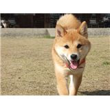 みん３.jpg