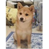 みん６.jpg