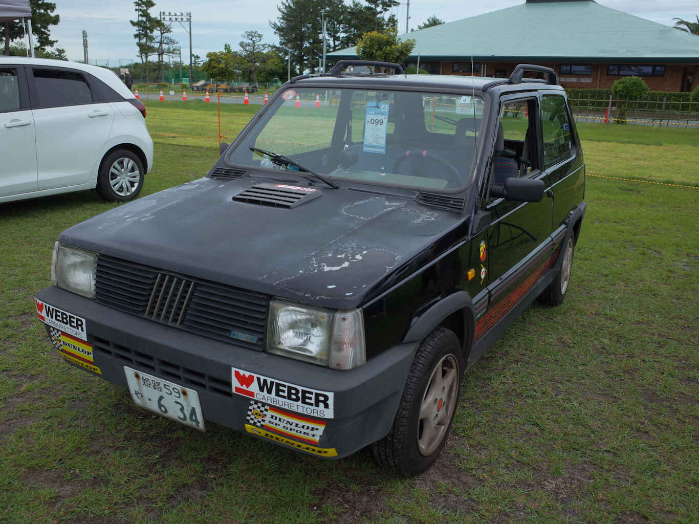 Pandarino2025-06.jpg