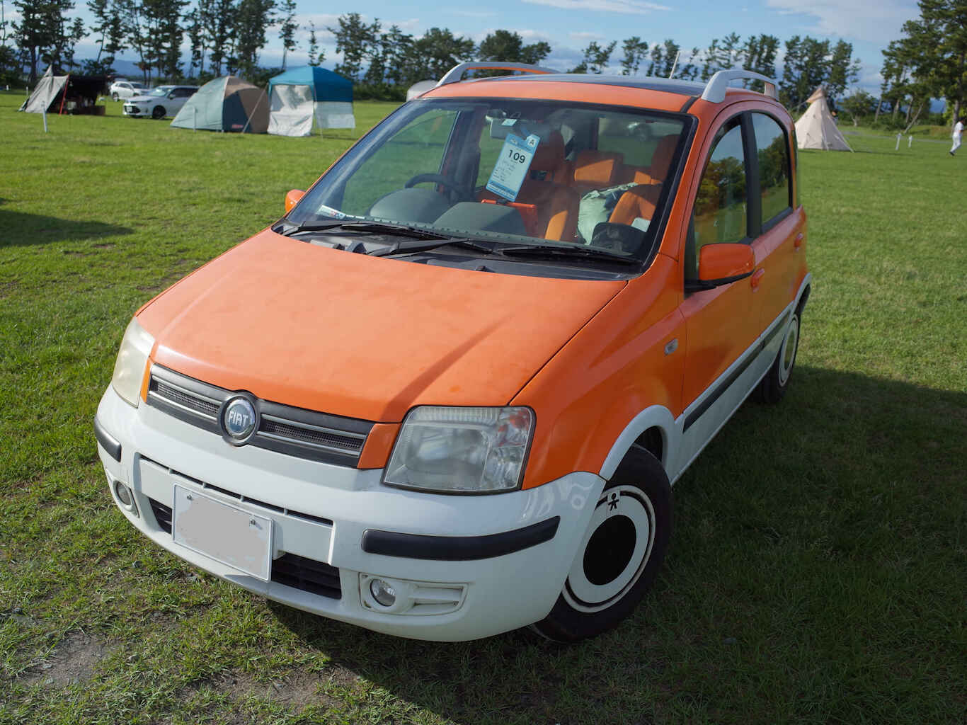 Pandarino2025-09.jpg