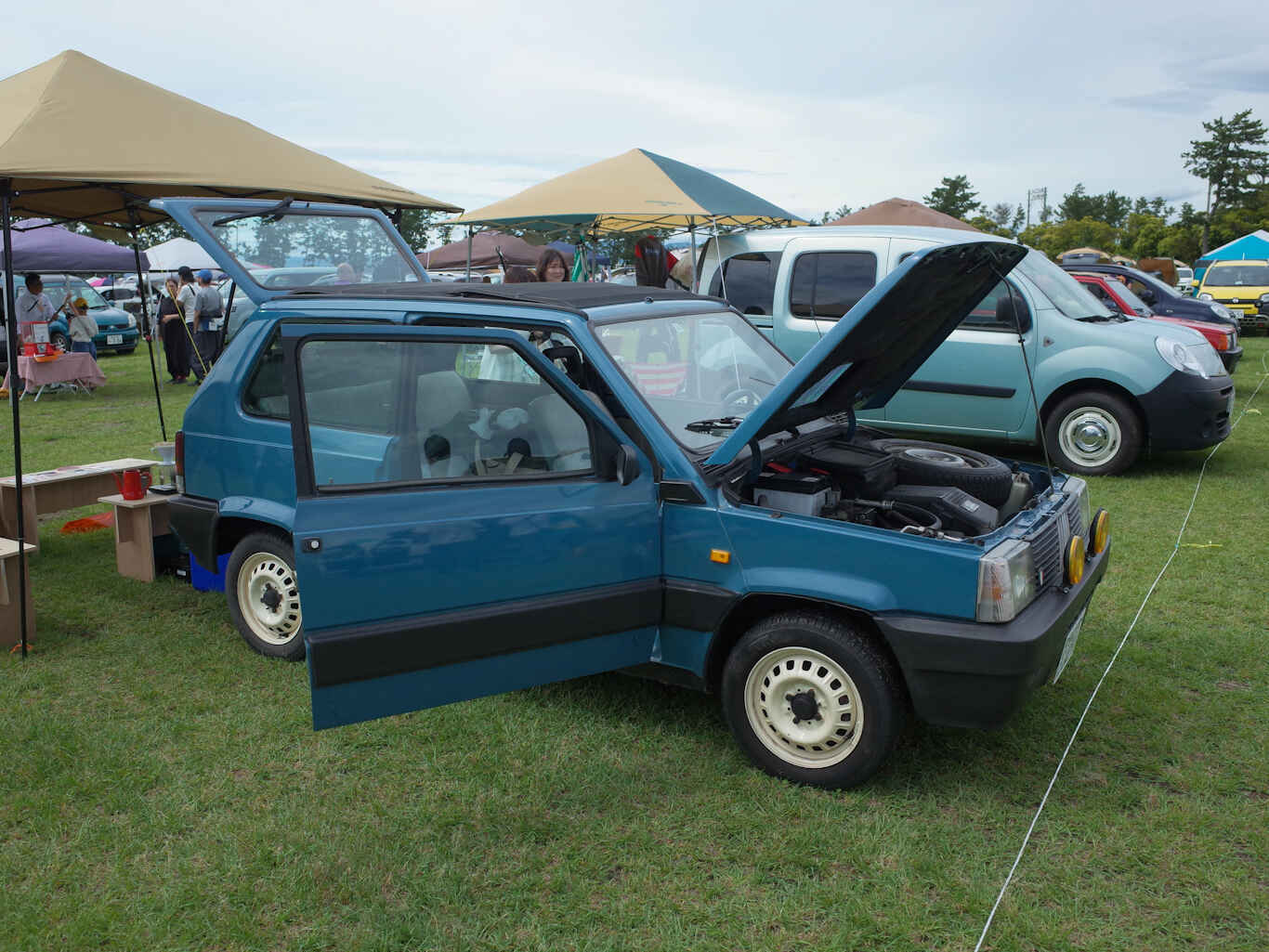 Pandarino2025-12.jpg