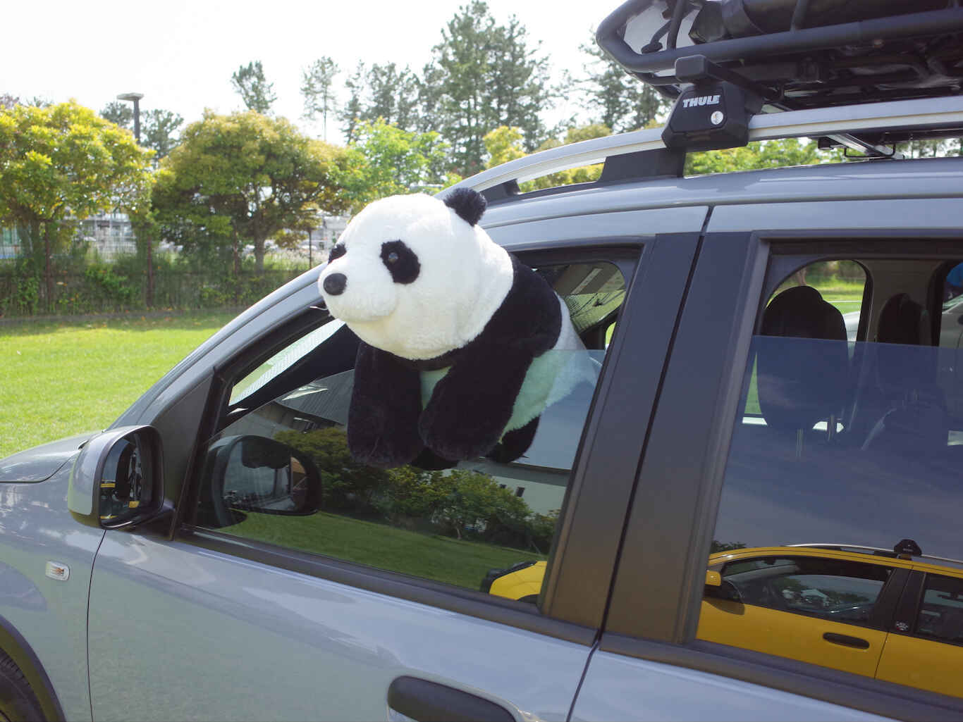 Pandarino2026-34.jpg