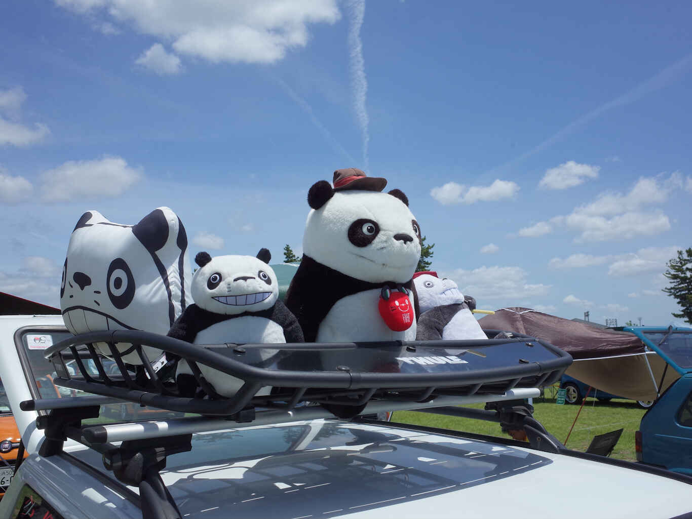 Pandarino2026-37.jpg