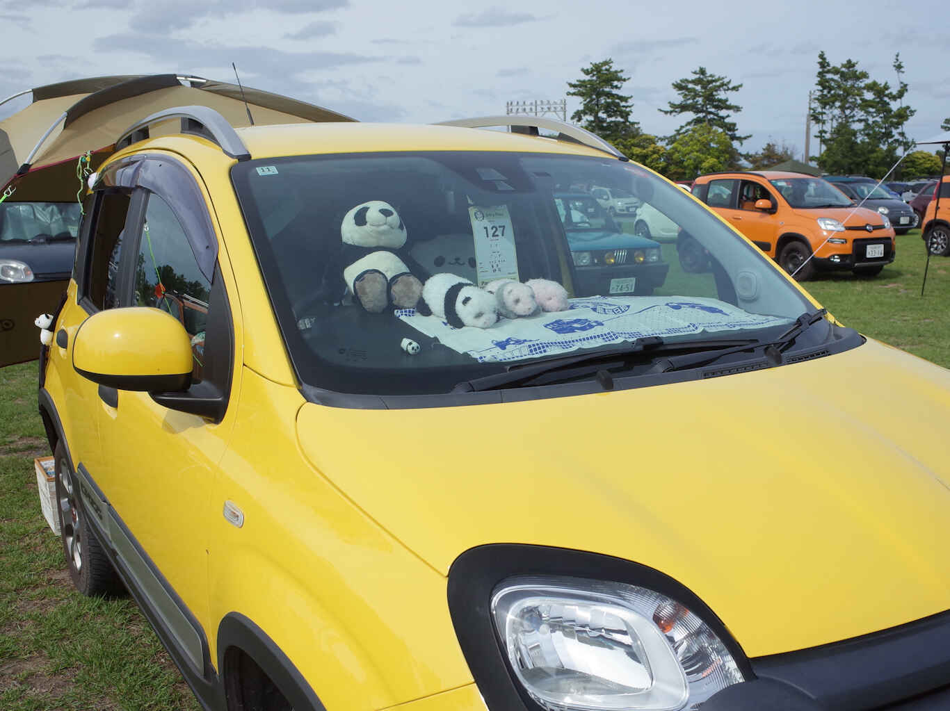 Pandarino2026-42.jpg