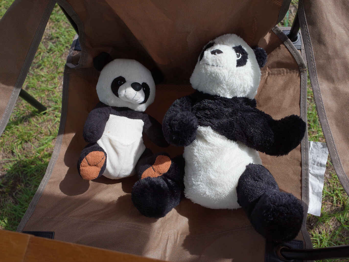 Pandarino2026-45.jpg