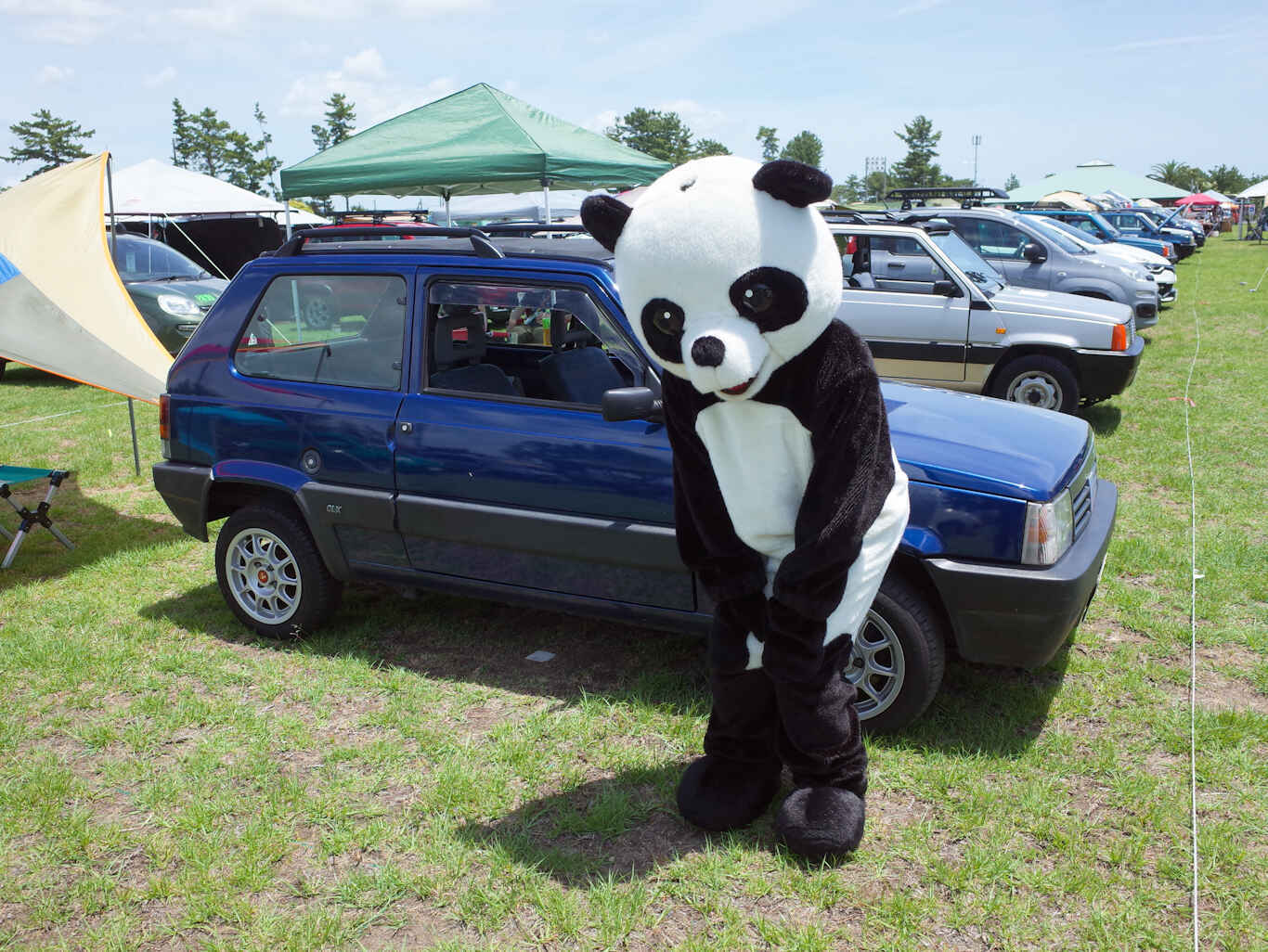 Pandarino2026-47.jpg