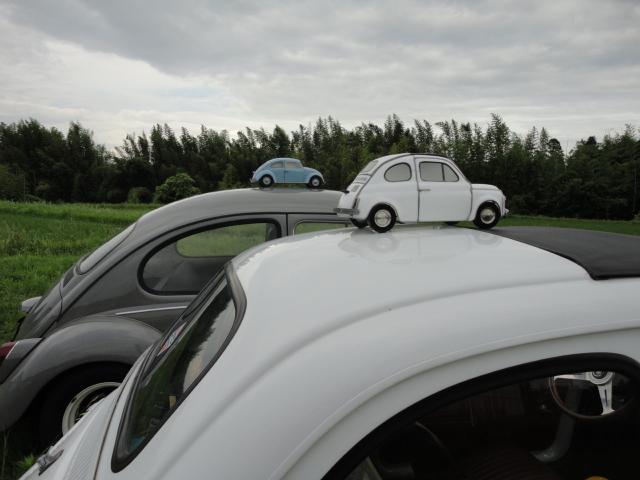 fiat500-3.jpg