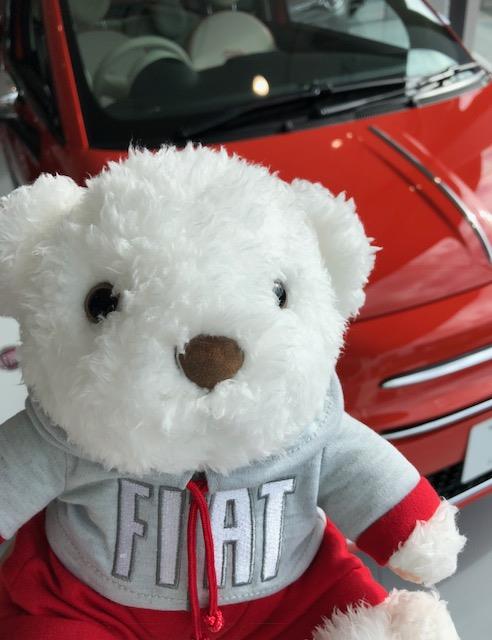 FIAT NEW ベアぬいぐるみ｜アルファロメオ三河・フィアット三河 