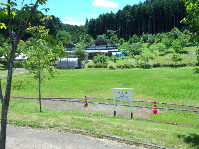 DSC_0040.jpg