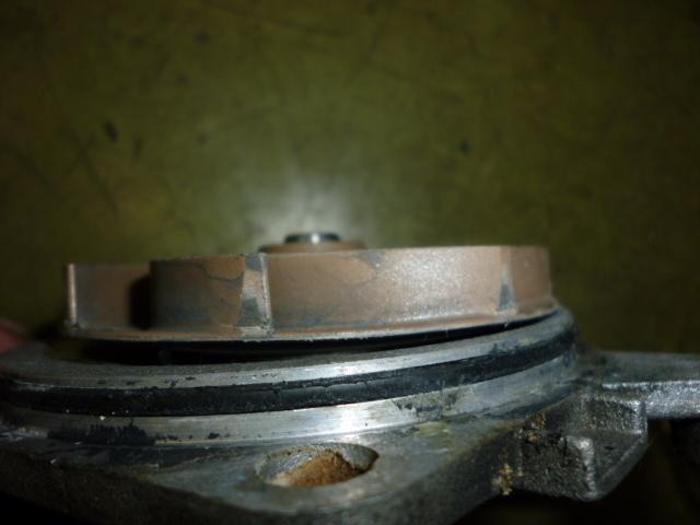 P1010473.jpg