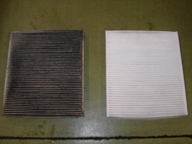 SANY0285.jpg
