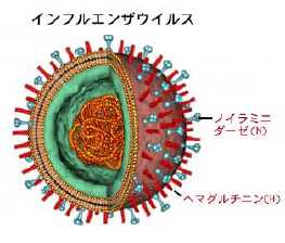 sc_12_influenza.jpg