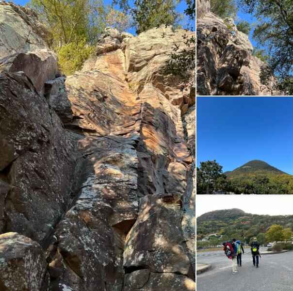 スクリーンショット 2025-11-29 074258.jpg