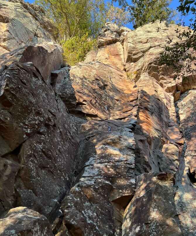 スクリーンショット 2025-11-29 074550.jpg