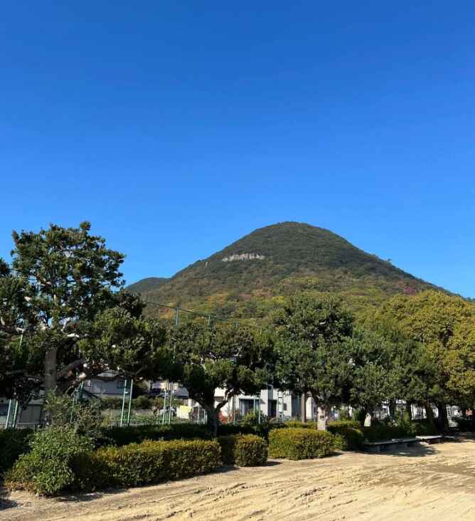 スクリーンショット 2025-11-29 074615.jpg