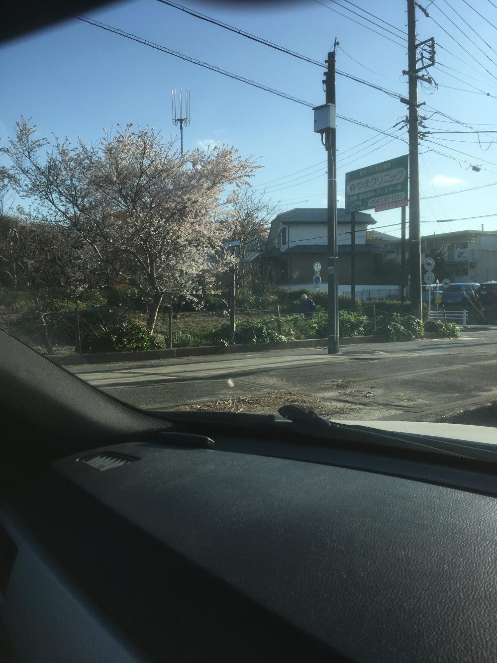 桜写真挿入.jpg