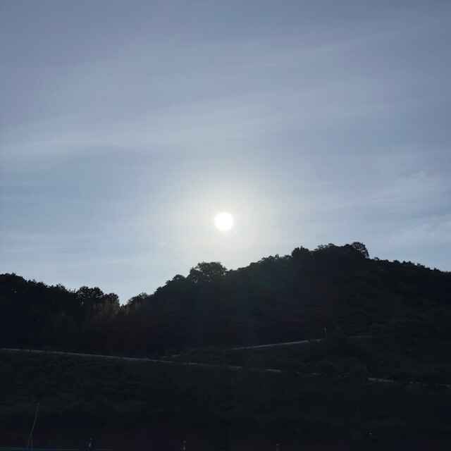20260526.jpeg