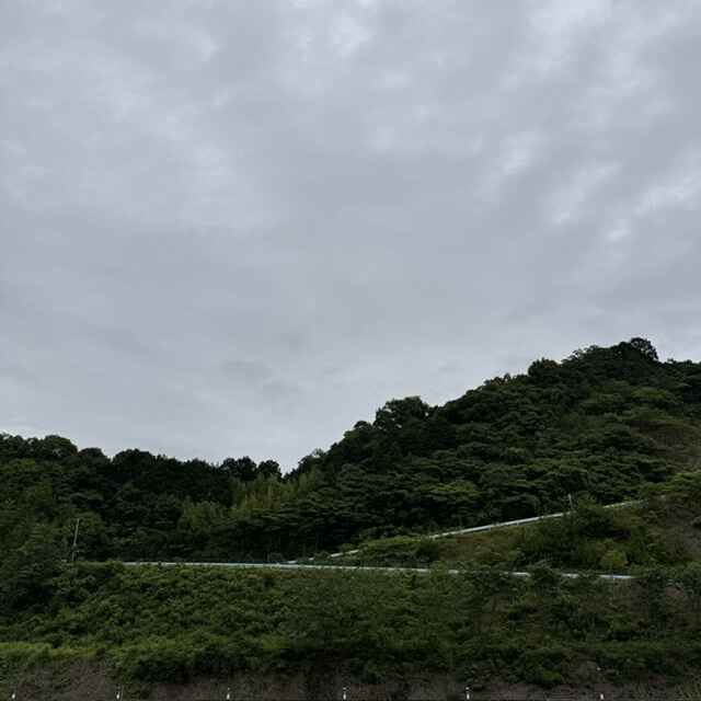 20260624.jpeg