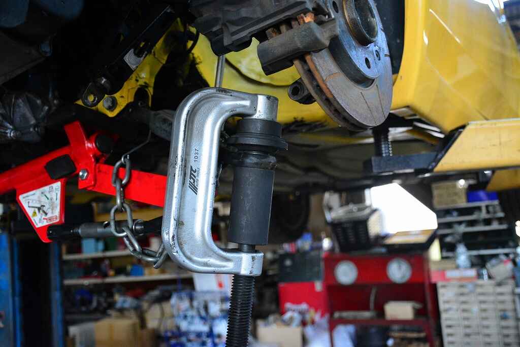 DSC_7377.jpg