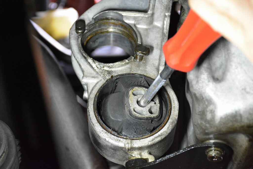 DSC_7681.jpg