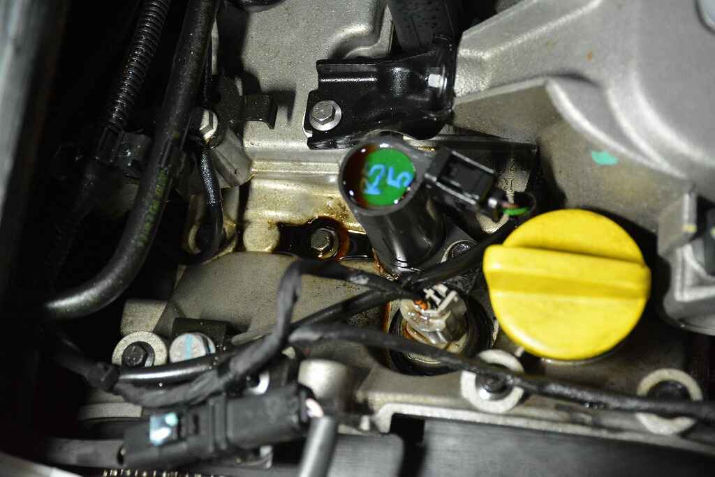DSC_8679.jpg