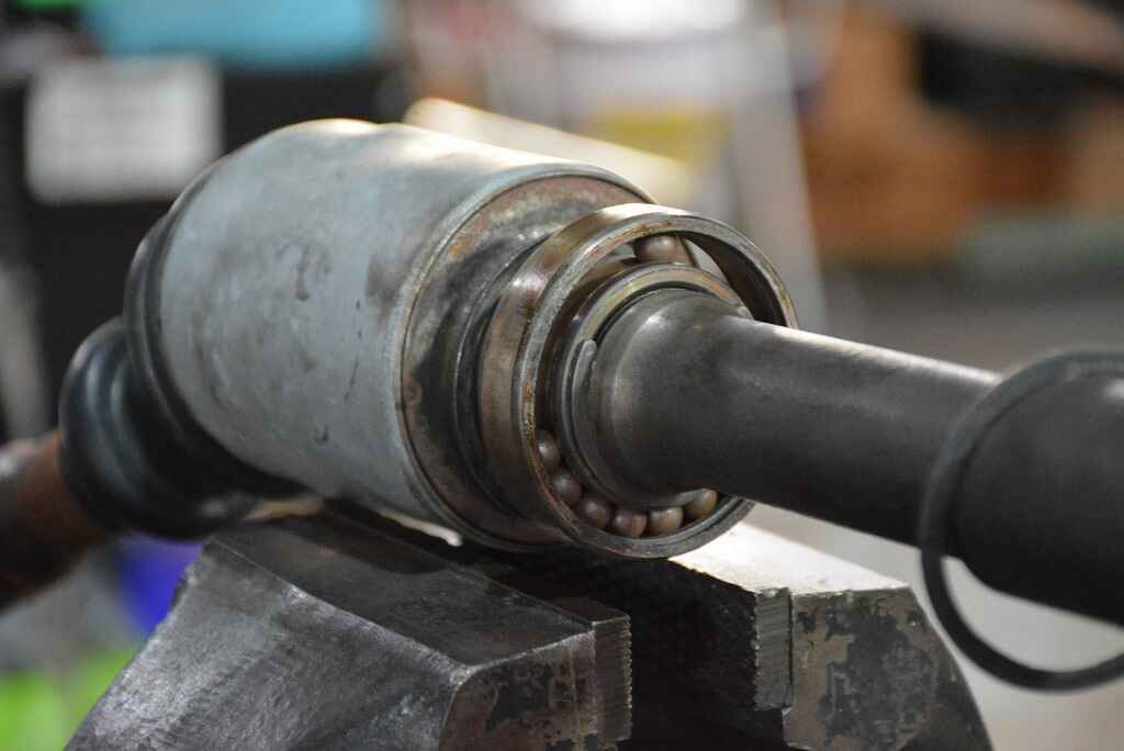 DSC_8873.jpg