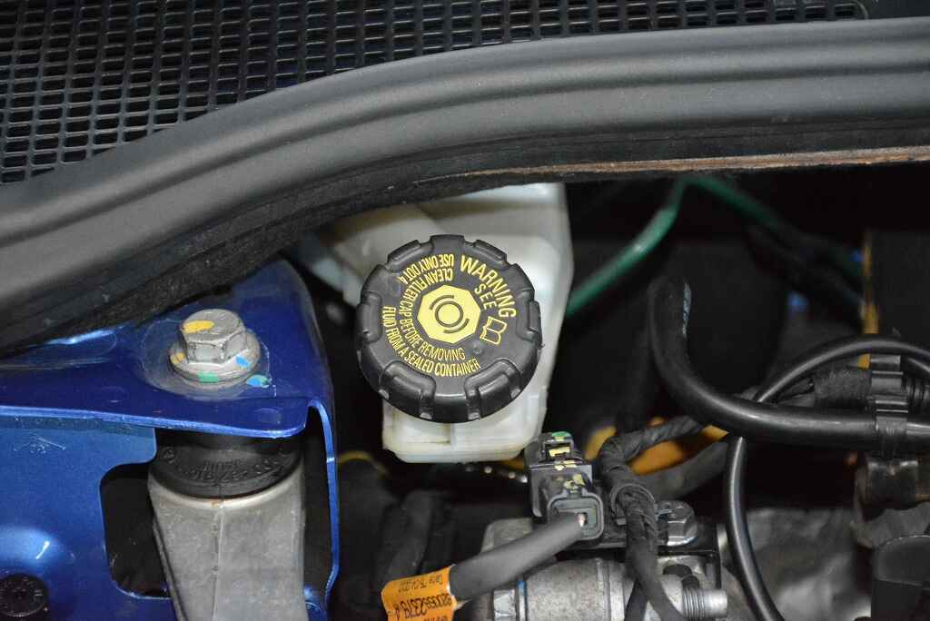 DSC_3393.jpg