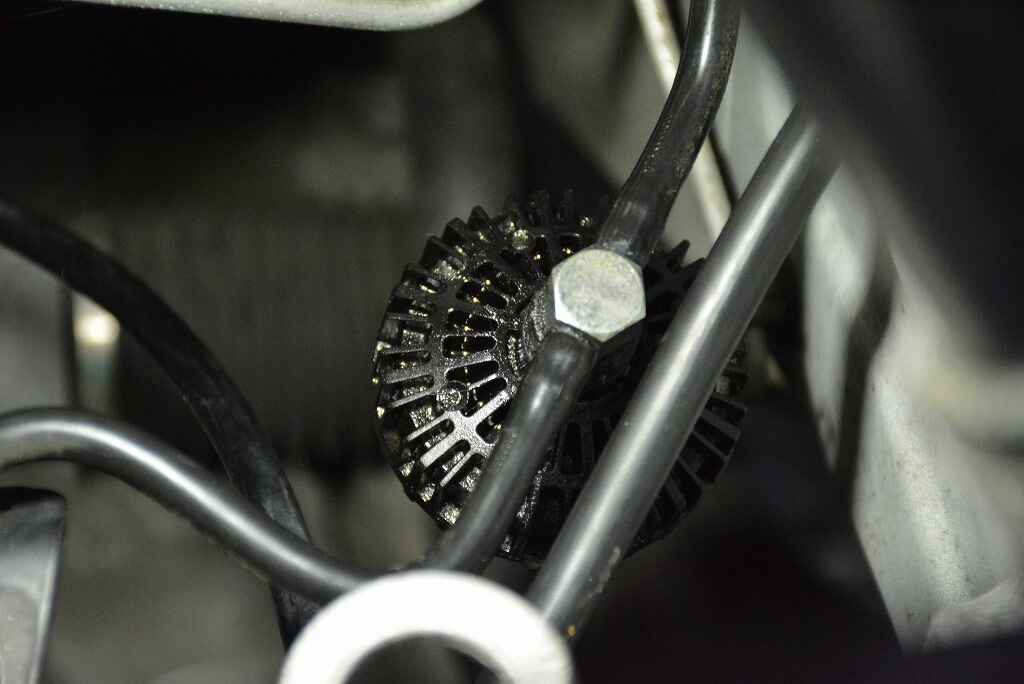 DSC_4303.jpg