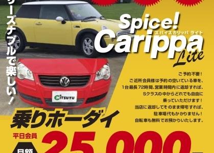 Carippa_Lite_A5_200402-419x300.jpg
