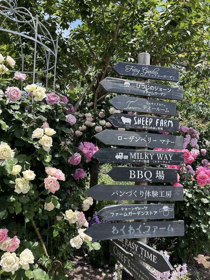 多和田７.jpg