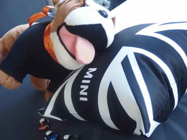 nasu1125 (2)-thumb-640x480-140293.jpg