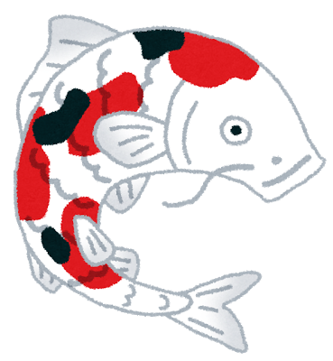 fish_nishikigoi.png